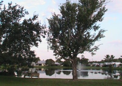 parkwood poa stuart fl